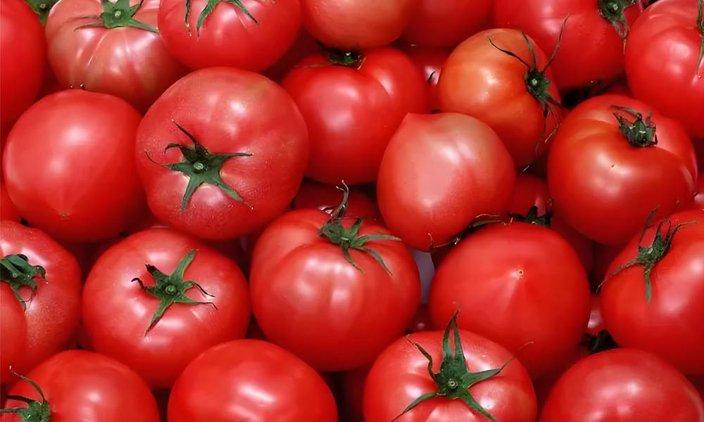 El papel del registrador de datos de temperatura en el transporte de tomates