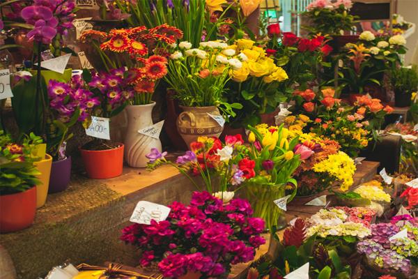 La ayuda de la grabadora de temperatura y humedad portátil para el transporte de flores