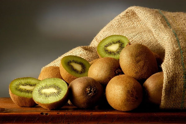 Mantenga KiwiFruit Fresh Equipo importante - Recordadora de temperatura de la cadena de frío