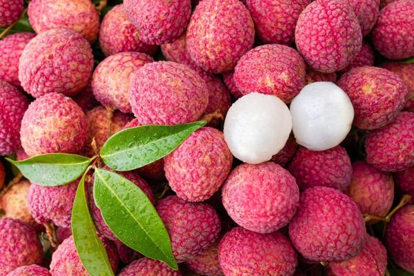 La grabadora de temperatura y humedad de LCD puede reducir el problema de pérdida de transporte de Litchi