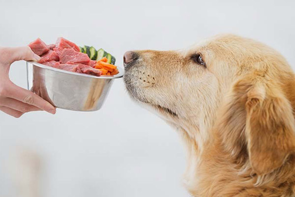 Alimento La grabadora de temperatura de la cadena fría puede prevenir la pérdida de nutrición