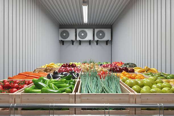 La importancia de los registradores de temperatura de transporte para el transporte de alimentos