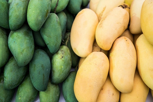 El uso de registrador de temperatura LCD desechable hará más seguro el transporte del mango